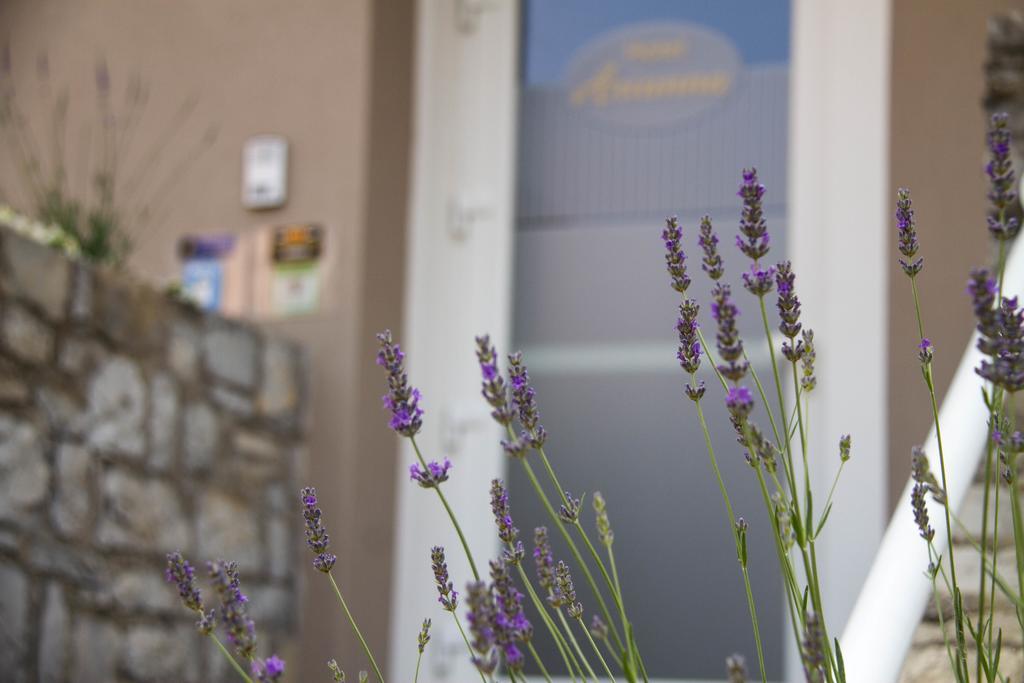 Hotel Arianna Iseo Buitenkant foto